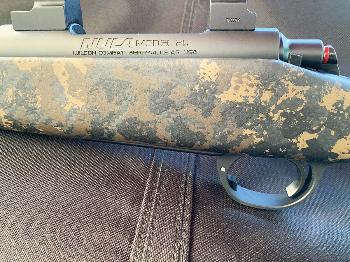 The bolt release and magazine latch are visible in this close-up, as well as the serrated-trigger face.